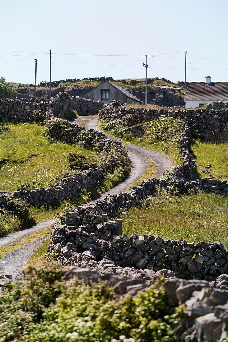 Straße, gesäumt von einer Felswand, die zu einem Haus führt, Inishmore, Irland