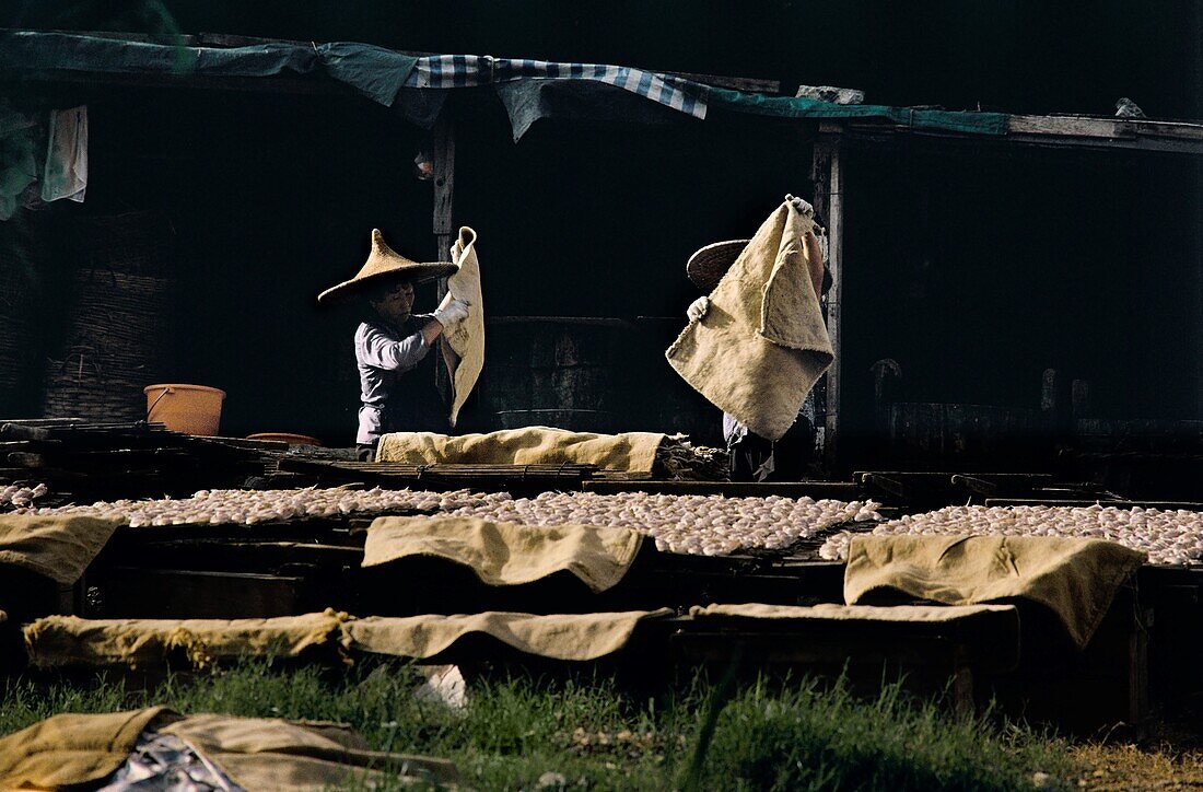 China, Hongkong, Fischer mit Strohhut, der Fisch in der Sonne trocknet