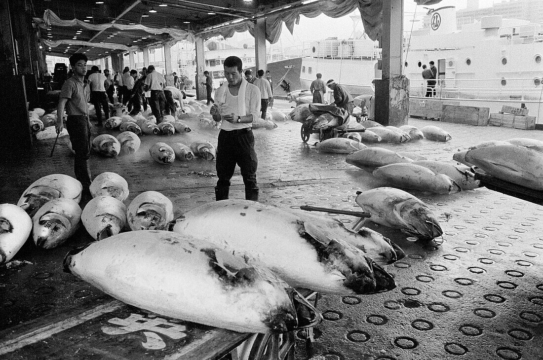 Japan, Tokyo, Man taking inventory of remaining tuna at Tsukiji fish market