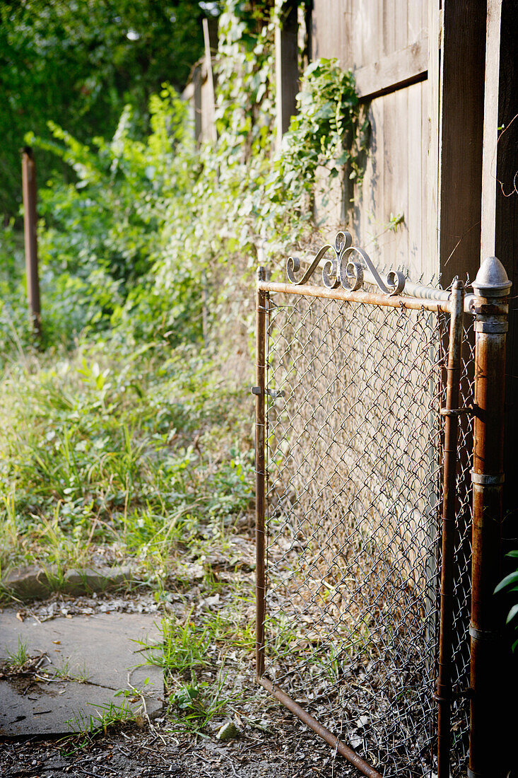 Rusted gate