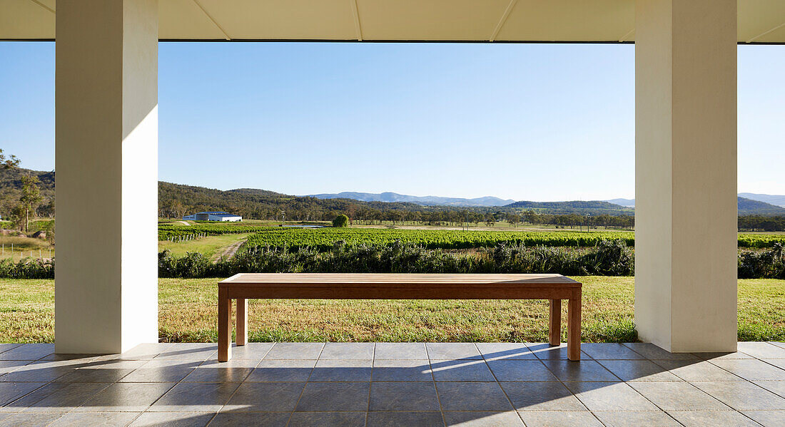 Blick auf den Weinberg vom Deck des Homestead