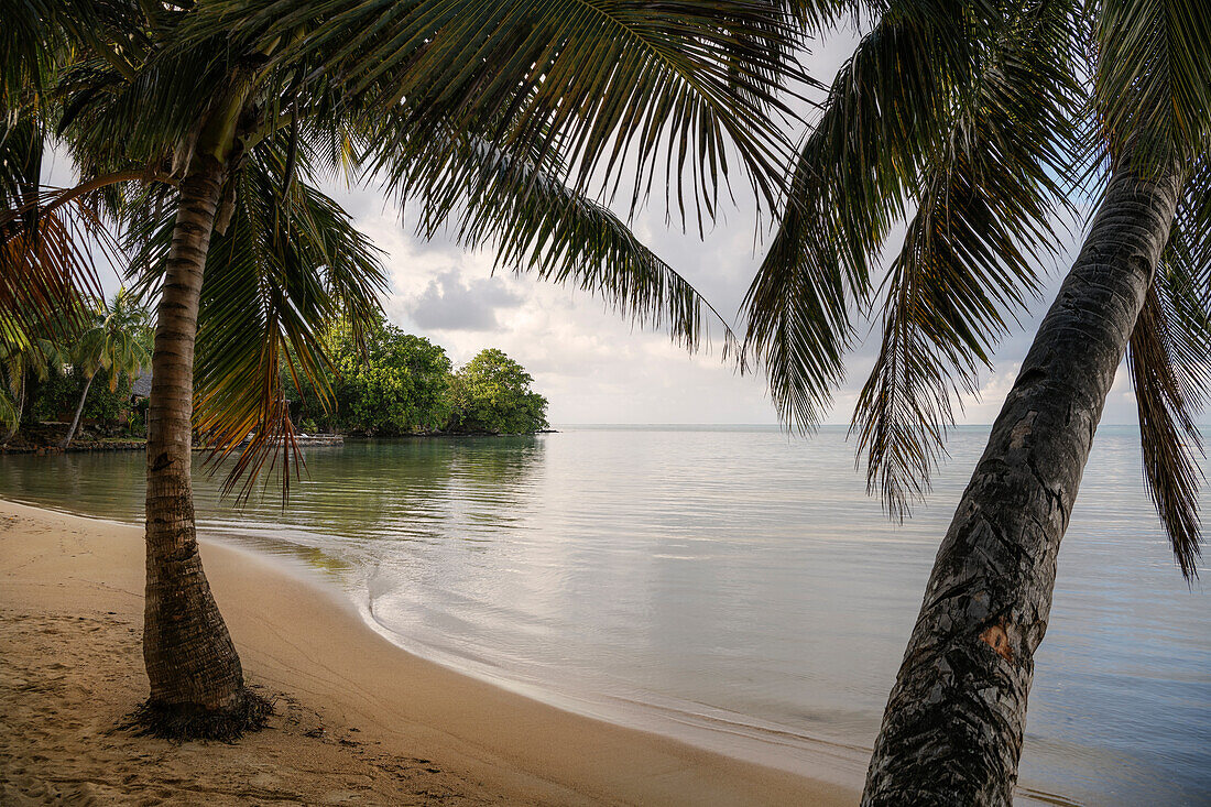 dreamy bay lined with palm trees, Nosy Nato, Ile aux Nattes, Madagascar, Indian Ocean, Africa