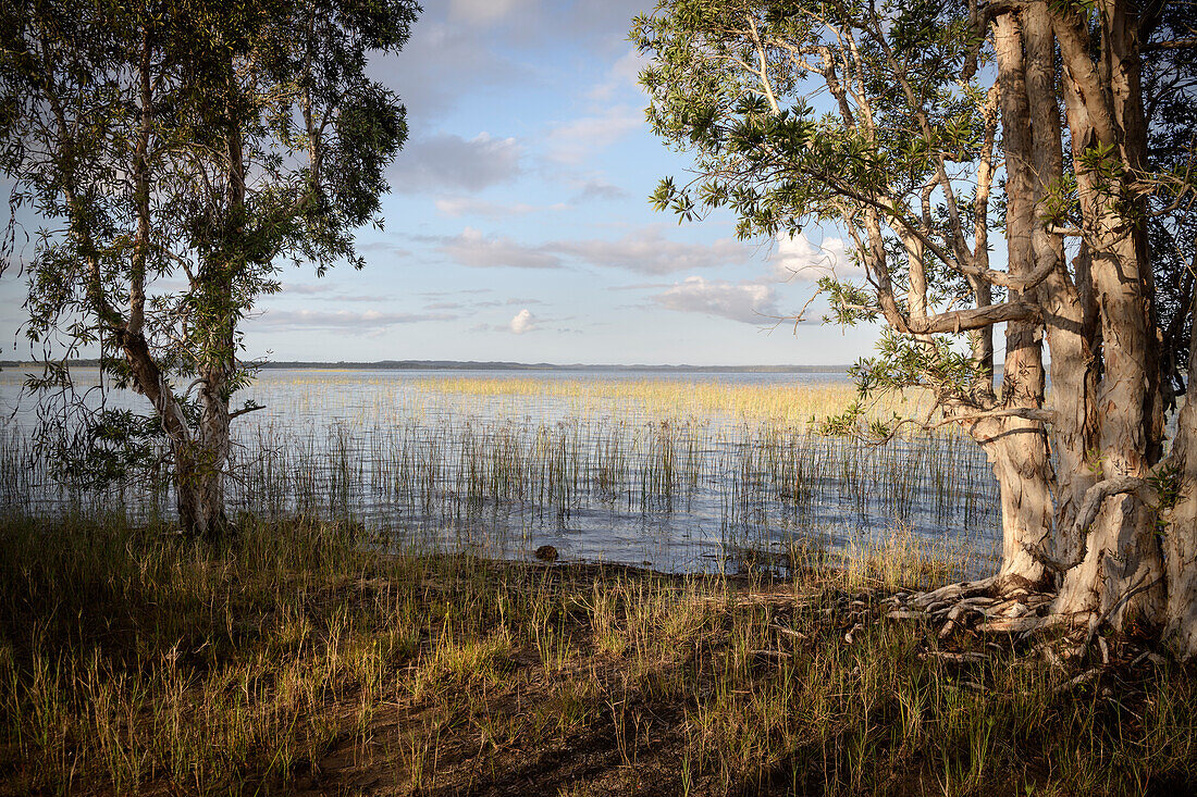 Lake Farihy Ampitabe, Canal des Pangalanes, Madagascar, Africa