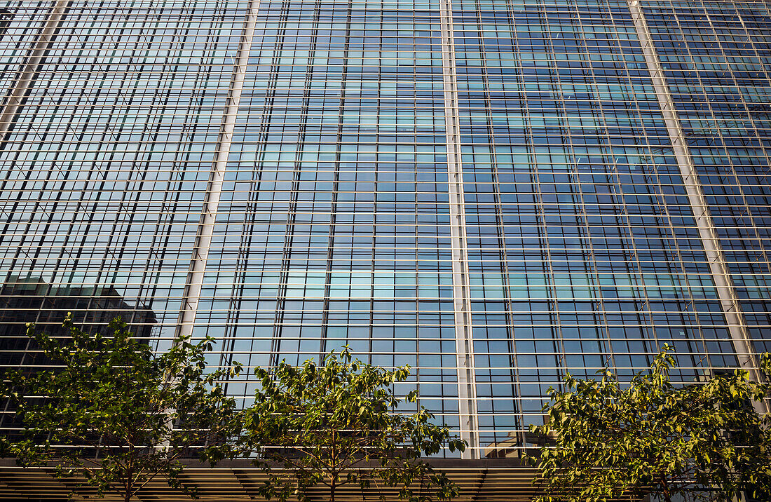Blick auf die Seite eines mehrstöckigen Glasgebäudes in Mumbai