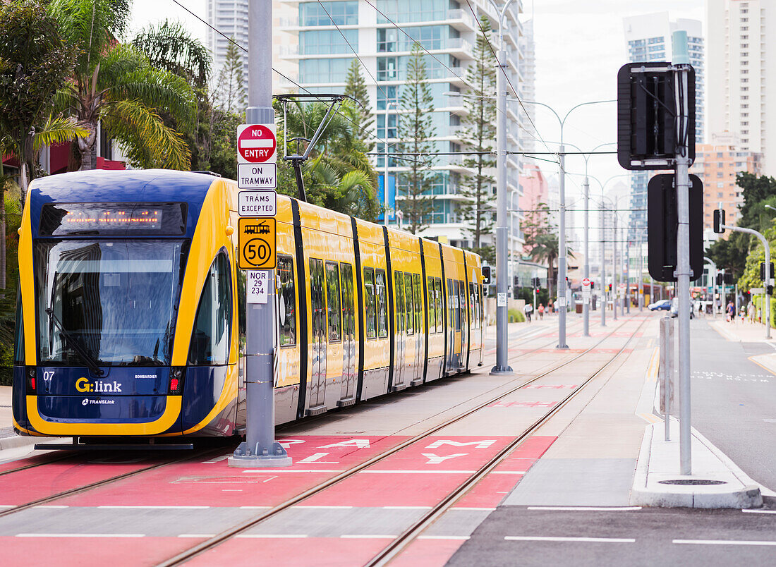 Tram traveling through city on the Gold Coast