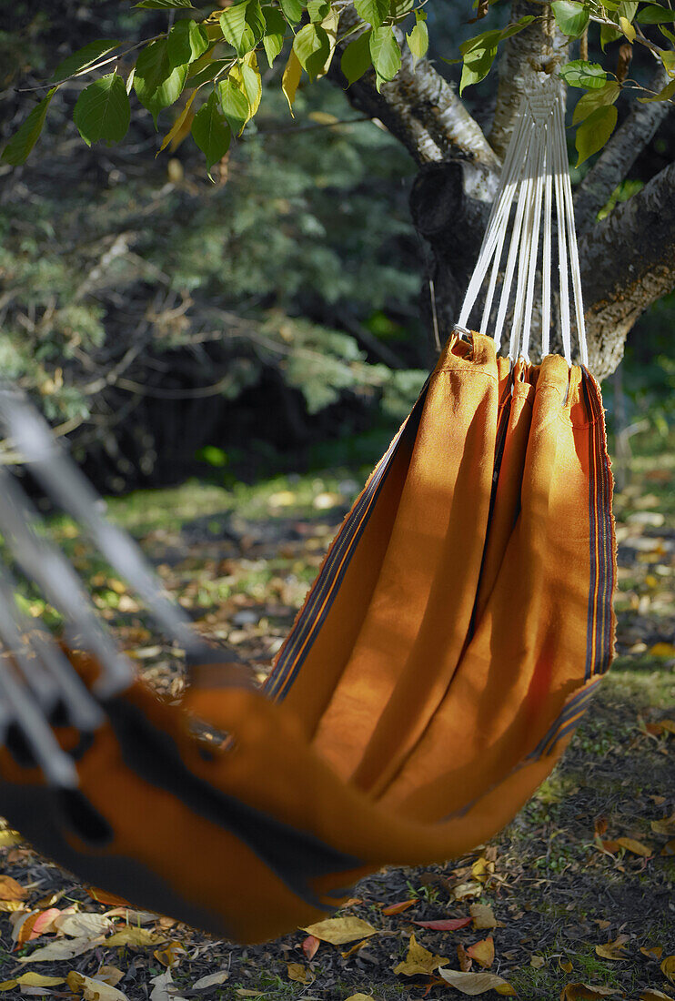 Close up of hammock secured to tree