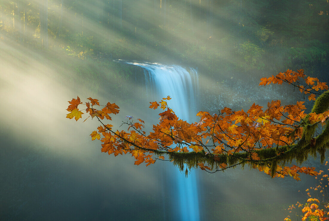 fall foliage and mist by a waterfall