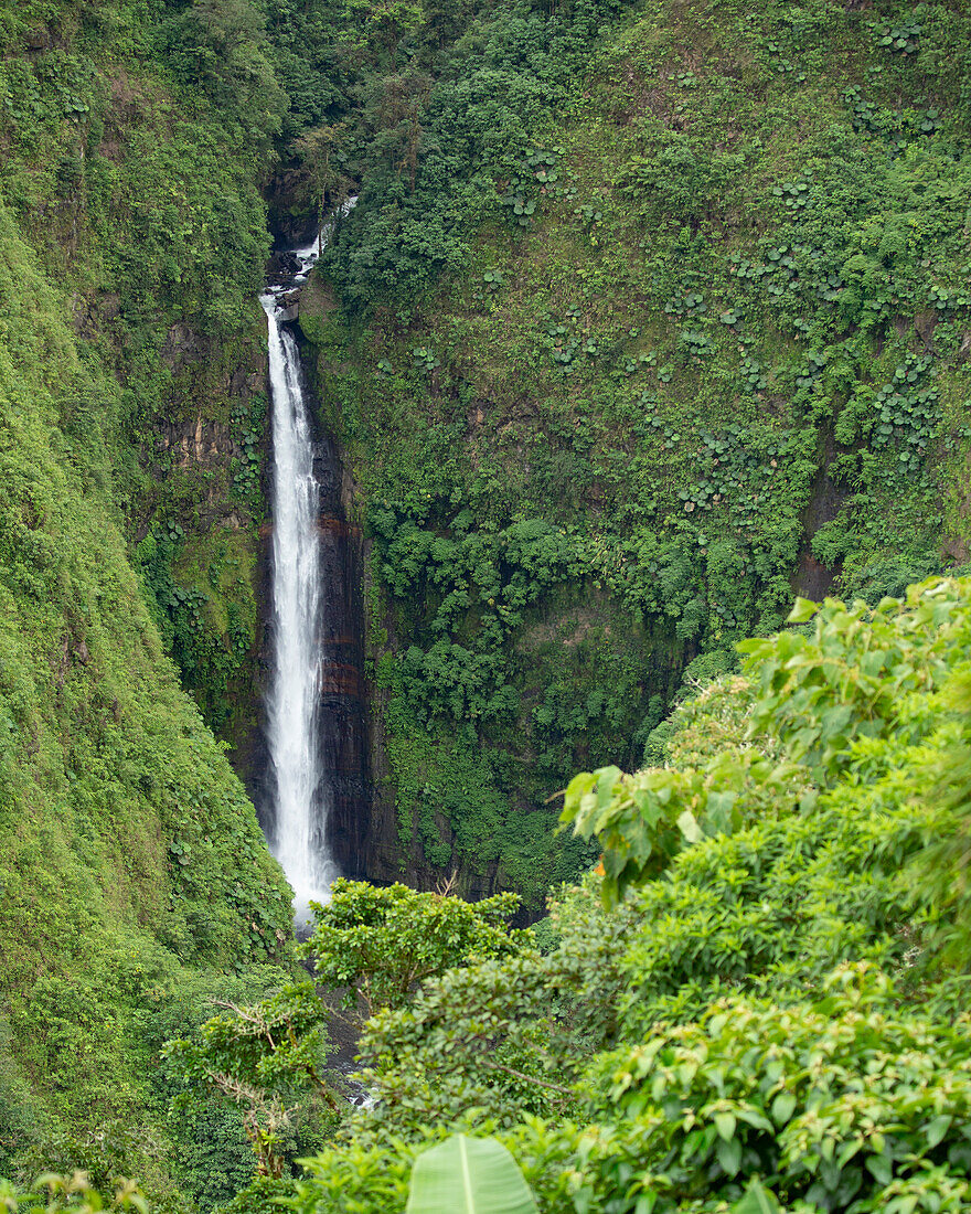 San Fernando Waterfall is one of the main attractions of the Central Volcanic Range Conservation Area in Costa Rica.