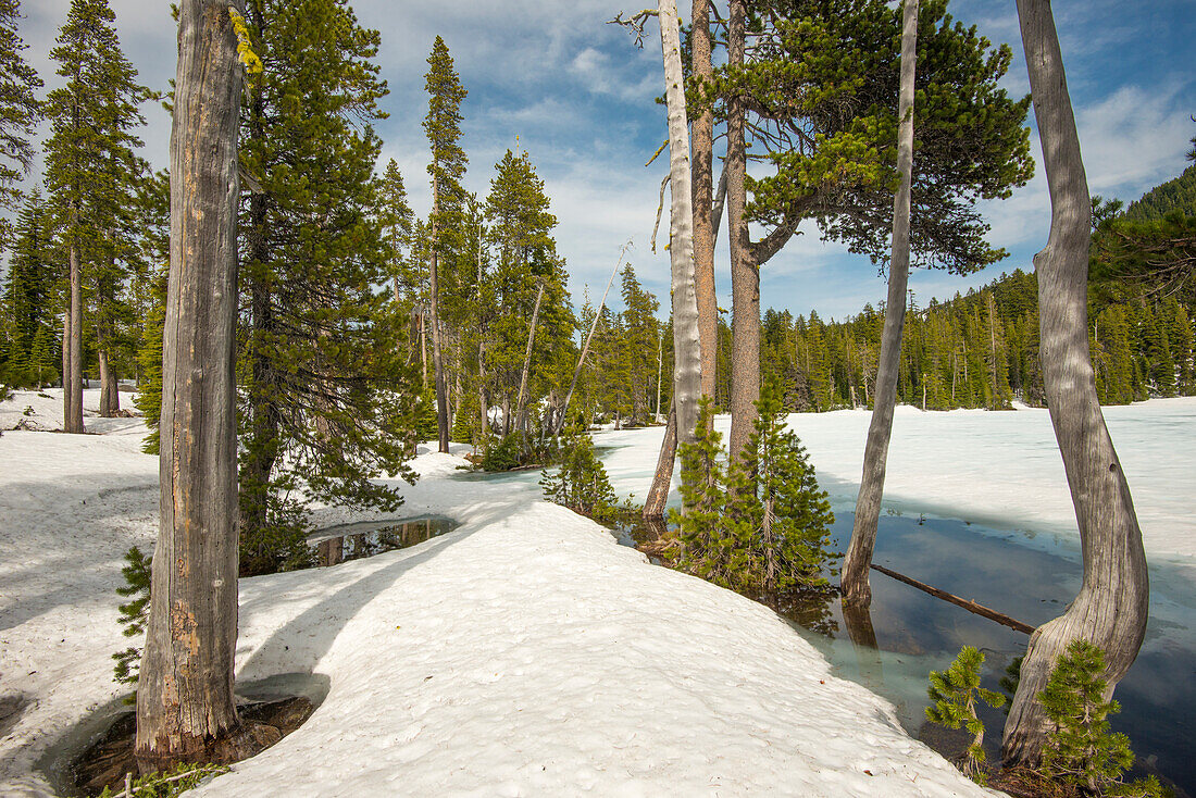 Snow melts around trees and lake in Sky Lakes Wilderness
