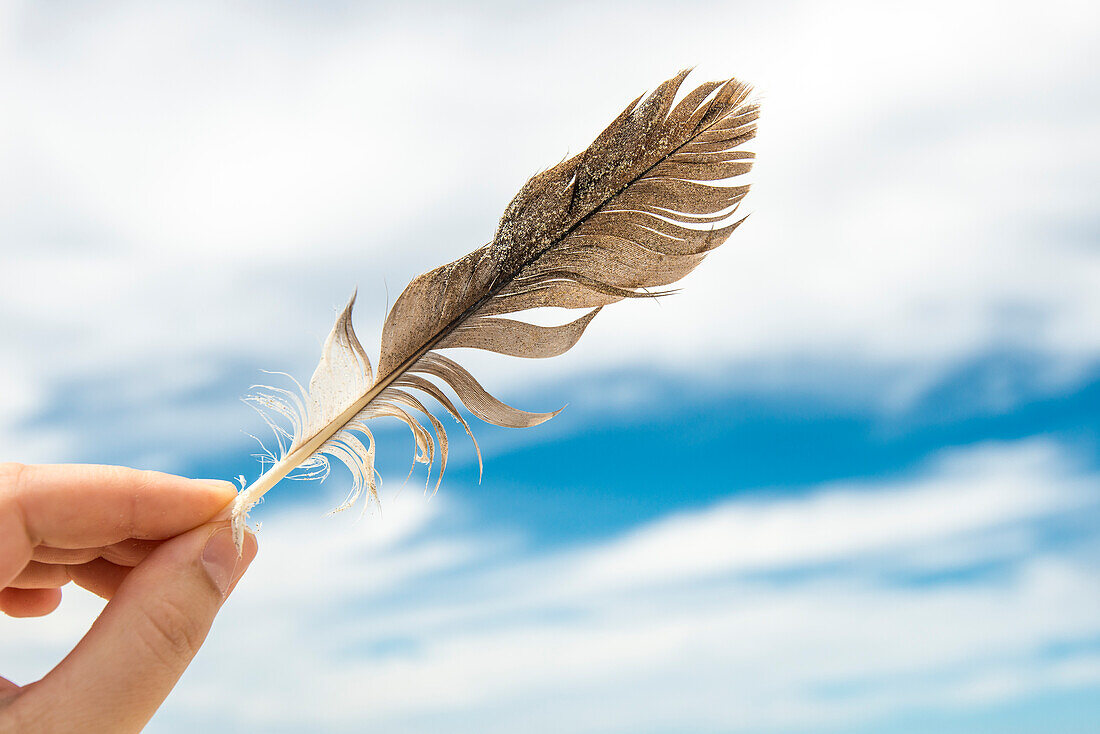 A woman's hand holds a feather against the sky