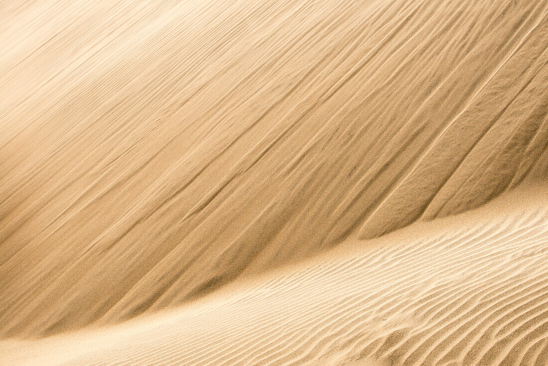 Sand dune ripple formations on Isla Magdalena, Baja California