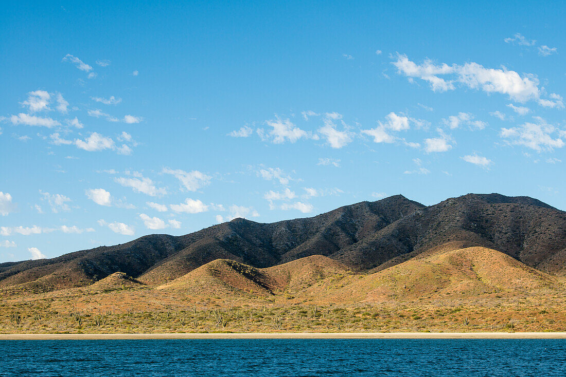 View of Magdalena Island in Baja California Sur with shadows and early morning light