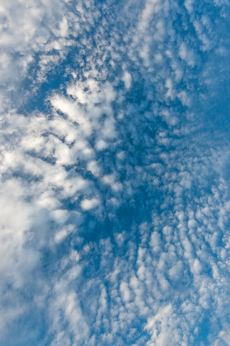 Interessante Wolken und blauer Himmel in Baja California Sur