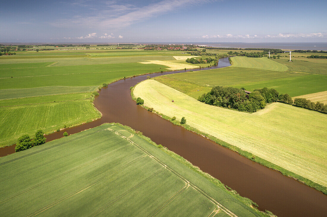 Fields at Crildumer Tief and Hohenstief, Wangerland, Friesland, Lower Saxony, Germany, Europe