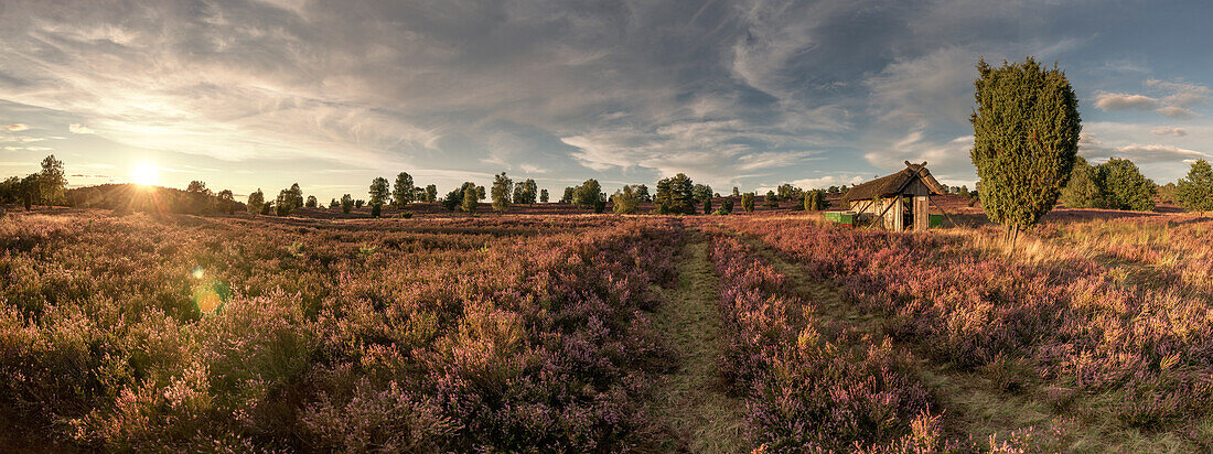 Sonnenuntergang in der LÃ¼neburger Heide bei Wilsede, Niedersachsen, Deutschland, Europa