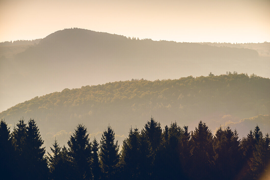 Herbstwald im Morgenlicht, Ehrenberg, Rhön, Hessen, Deutschland, Europa