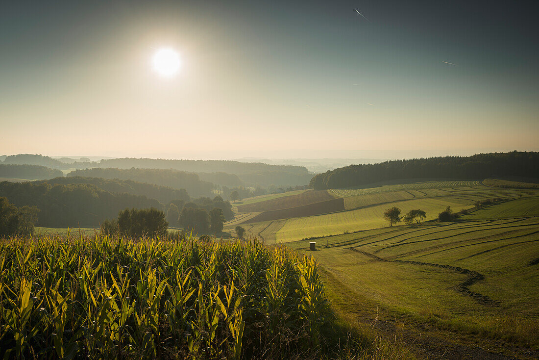 Felder bei Hofbieber, Rhön, Fulda, Hessen, Deutschland, Europa