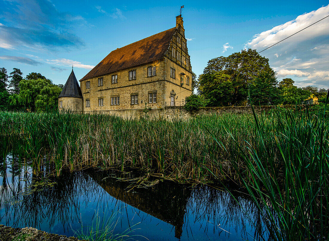 Schloss Thienhausen in Steinheim im Abendlicht, Westfalen, Nordrhein-Westfalen, Deutschland