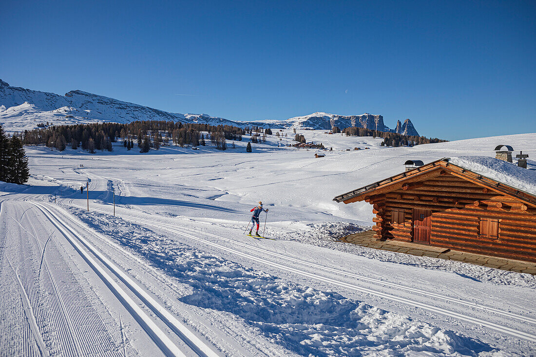 Loipen mit Langläufer auf der Hochebene bei Seiser Alm und St. Ulrich in Gröden alias Val Gardena, Autonome Provinz Bozen, Südtirol, Italien