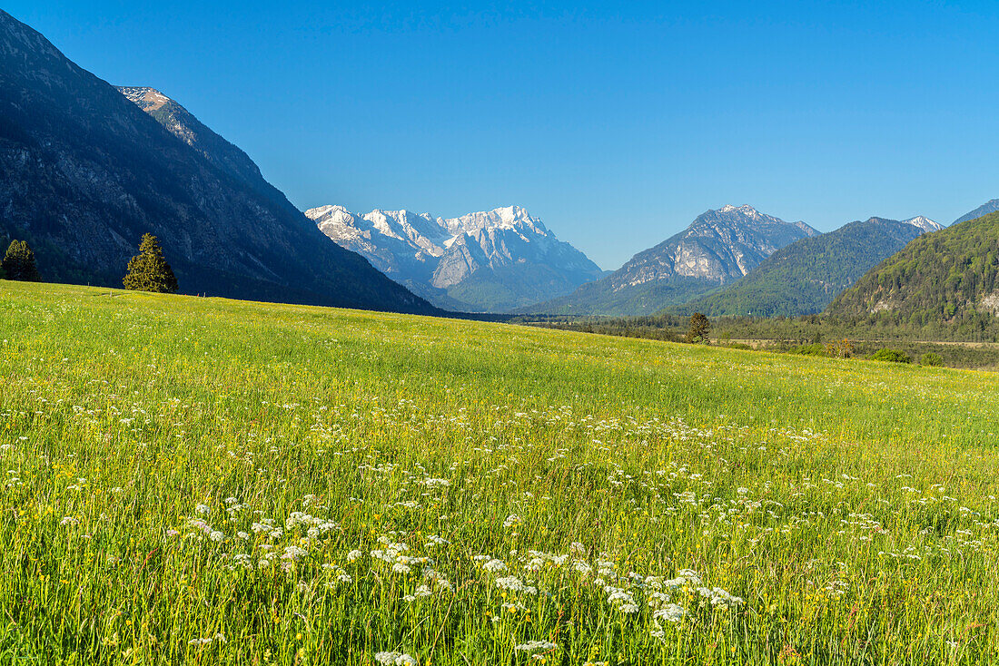 View of Wetterstein Mountains with Zugspitze (2,962 m), Eschenlohe, Upper Bavaria, Bavaria, Germany