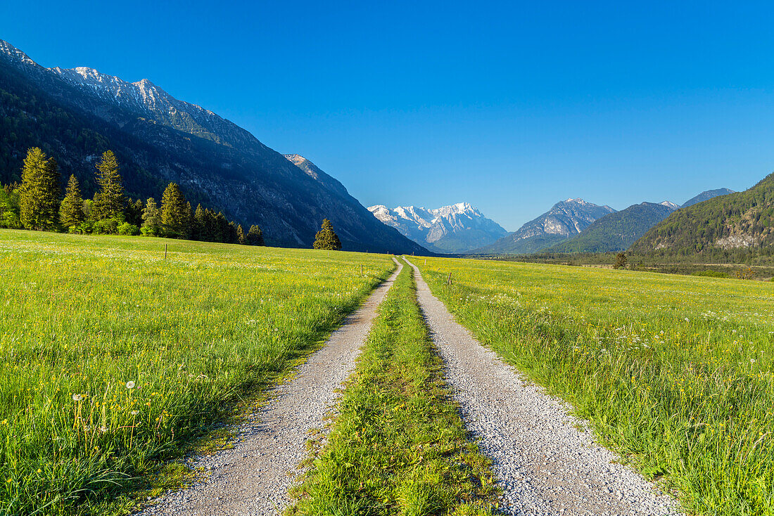 Weg vor dem Wettersteingebirge mit Zugspitze (2.962 m), Eschenlohe, Oberbayern, Bayern, Deutschland