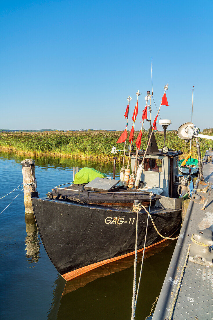 Im Hafen von Gager, Insel Rügen, Mecklenburg-Vorpommern, Deutschland