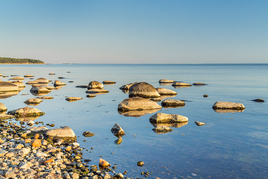 Stone beach at the Bodden in front of Klein Zicker, Ruegen Island, Mecklenburg-West Pomerania, Germany