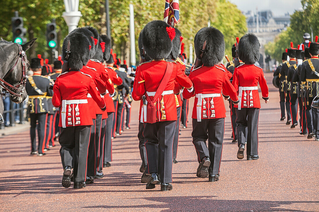 Wachablösung, Buckingham Palace, London, England, Vereinigtes Königreich