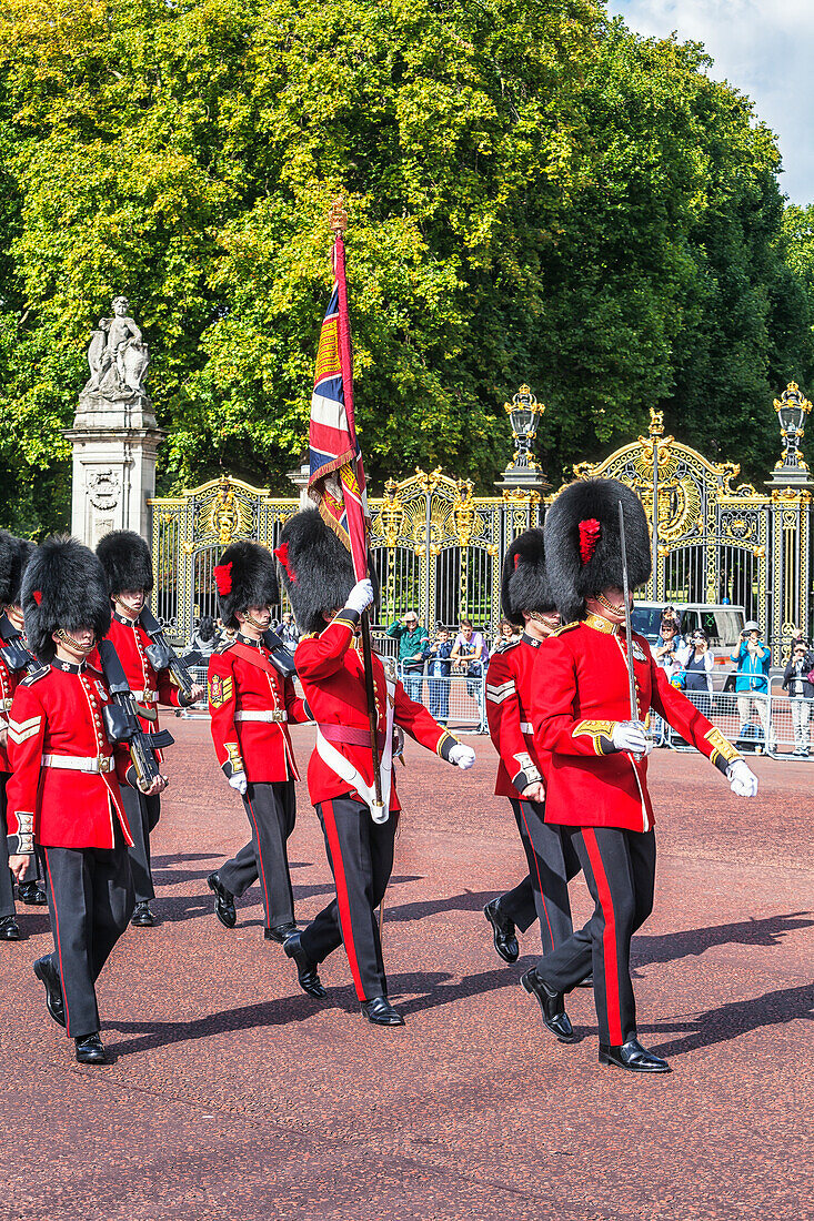 Wachablösung, Buckingham Palace, London, England, Vereinigtes Königreich