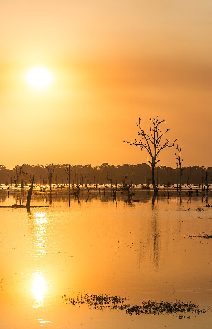 Orangefarbener Sonnenuntergang am Pool mit abgestorbenen Bäumenn in der Nähe von Neak Poan im Angkor-Komplex.