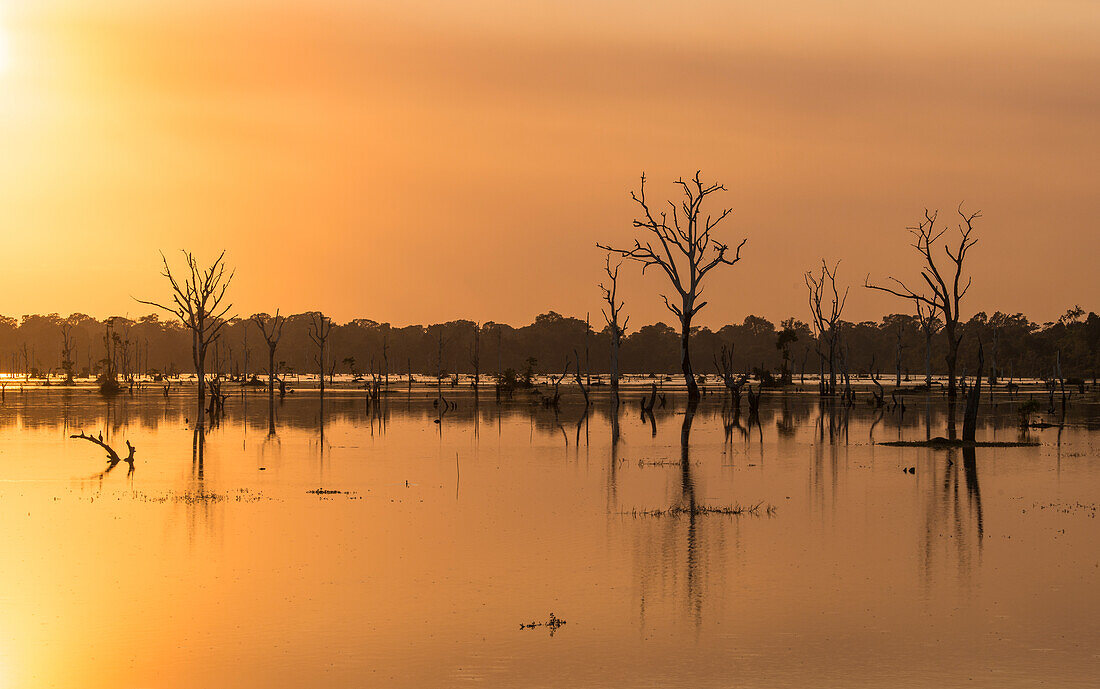 Orangefarbener Sonnenuntergang am Pool mit abgestorbenen Bäumenn in der Nähe von Neak Poan im Angkor-Komplex.