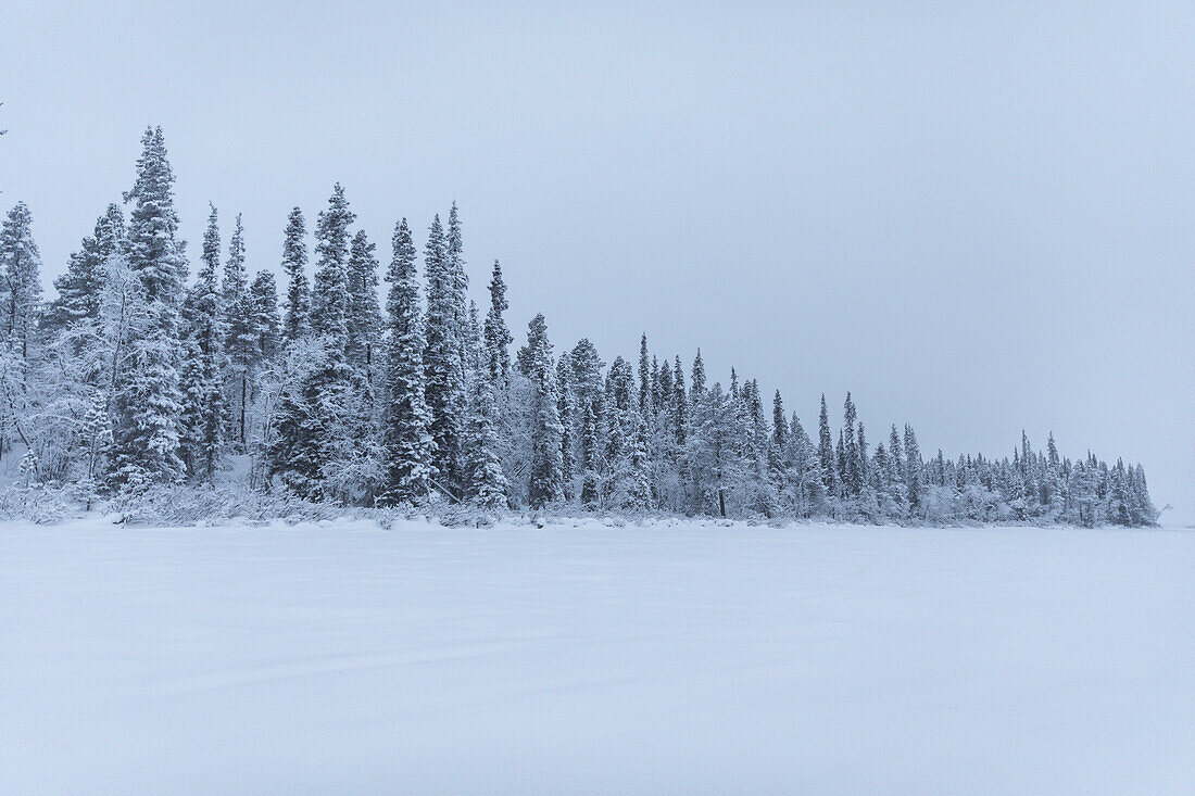 Bewölkte Winterszene in Schwedisch-Lappland