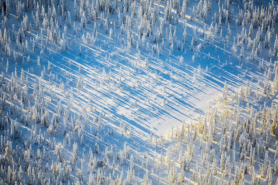 Aerial view of wilderness area covered in snow. Kuusamo, Finnish Lapland, Finland