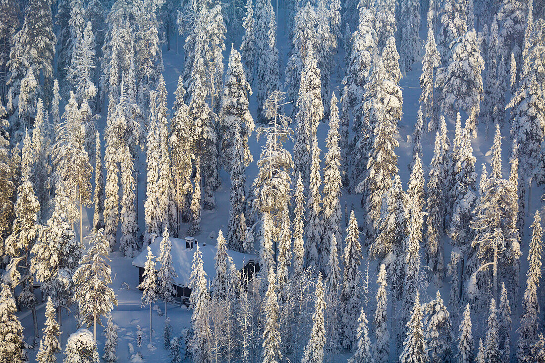 Aerial of snowed in Lakeside Winter Cabins surrounded by evergreen trees in Kuusamo, Finnish Lapland