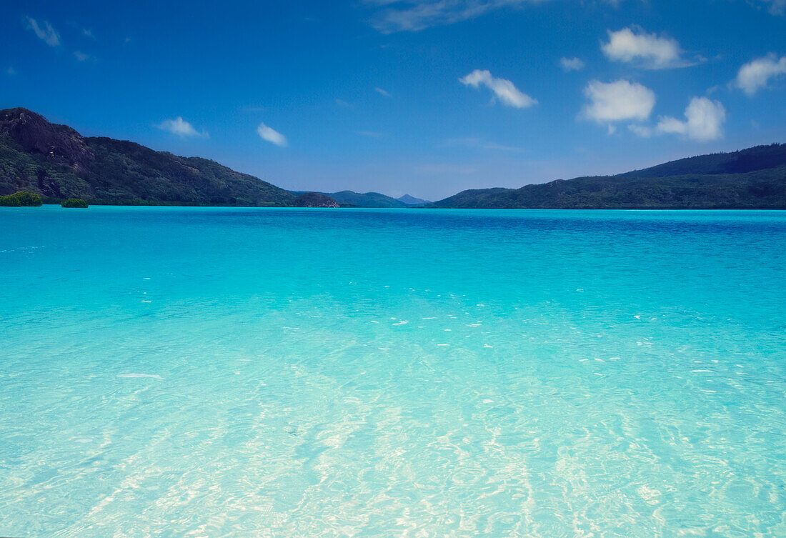 Unberührtes Wasser umgeben von tropischen Inseln am Whitehaven Beach - Whitsunday Islands - Queensland