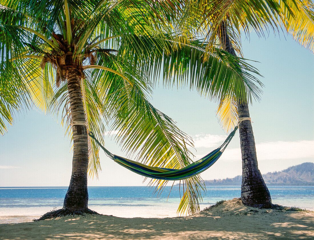 Hammock tied between two palm trees on tropical beach in Fiji