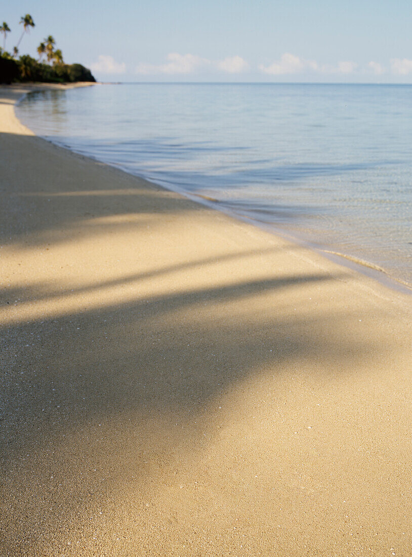 Shadows of palm trees on tropical beach