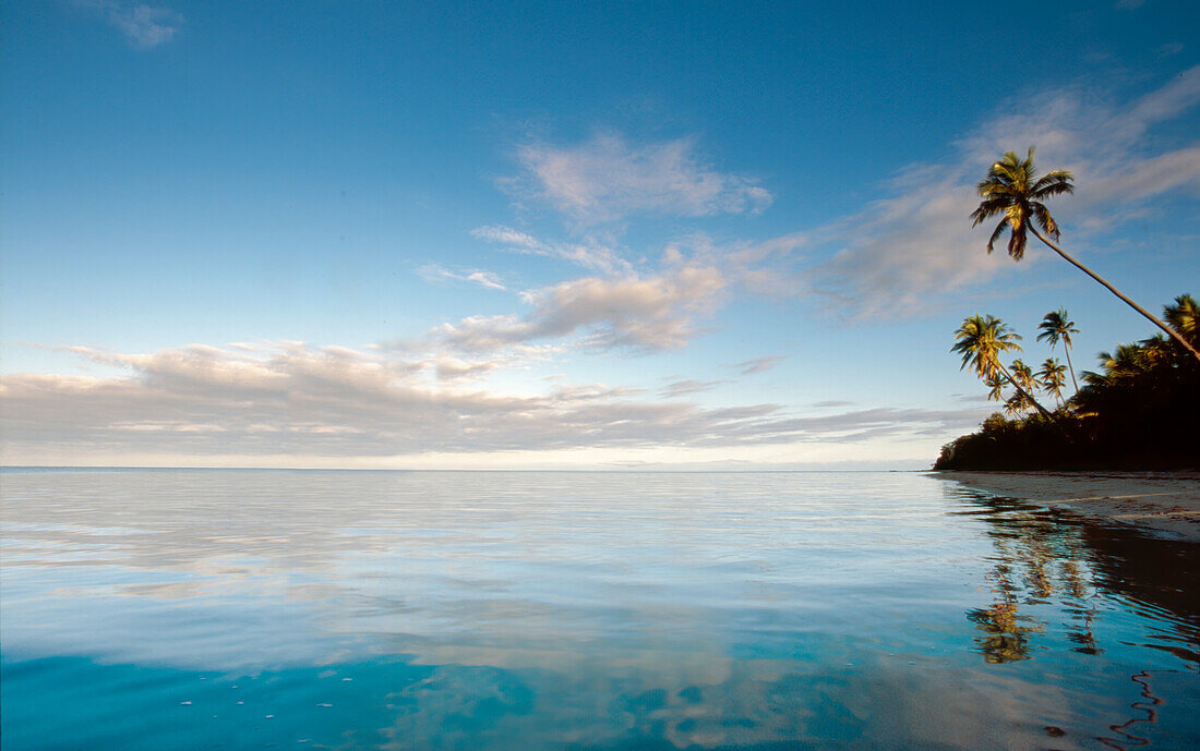 Coastline of tropical island