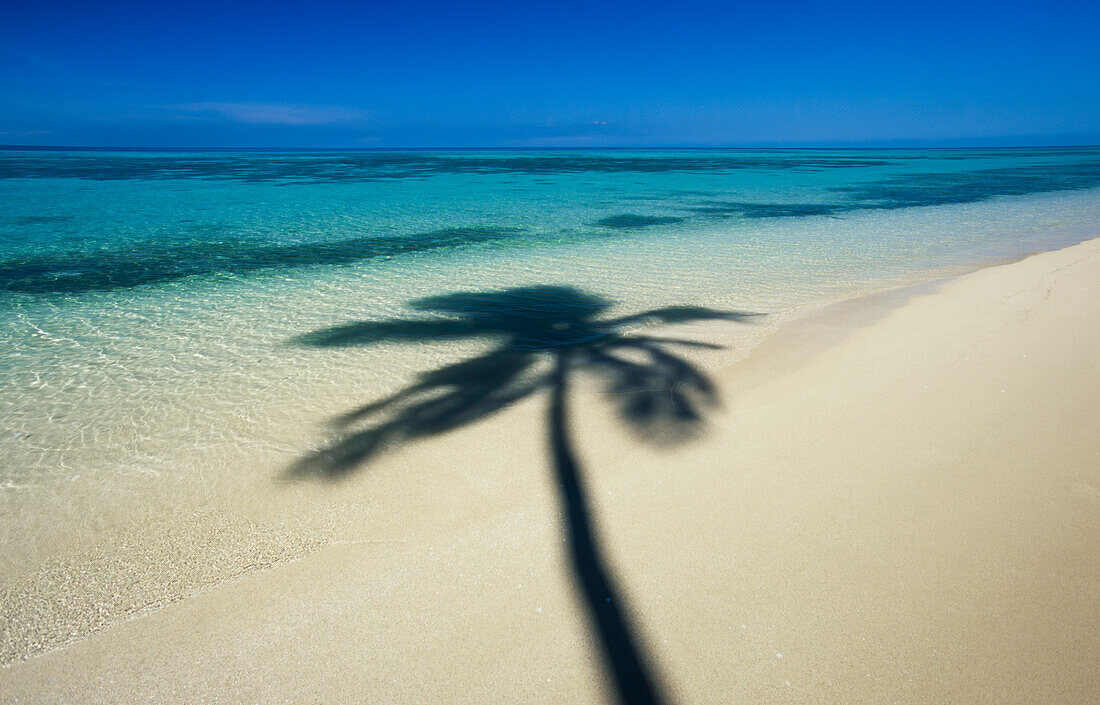 Shadows of palm trees on tropical beach