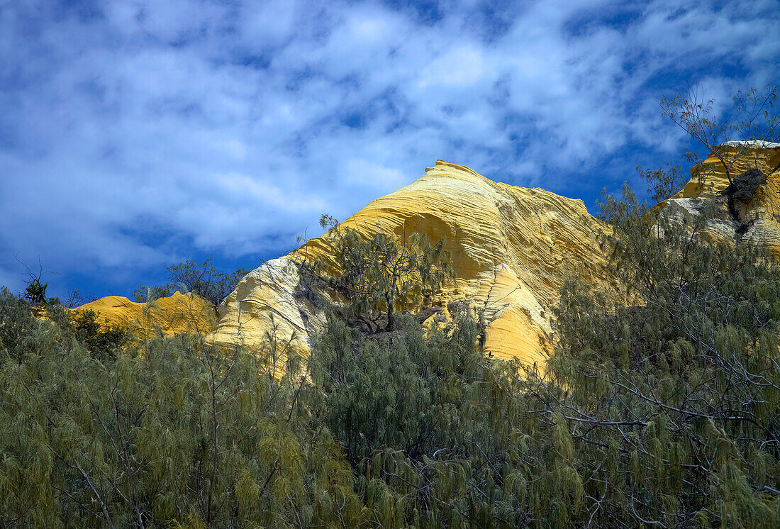 Freiliegender Felshang auf Fraser Island, der von der einheimischen Flora in den Himmel ragt