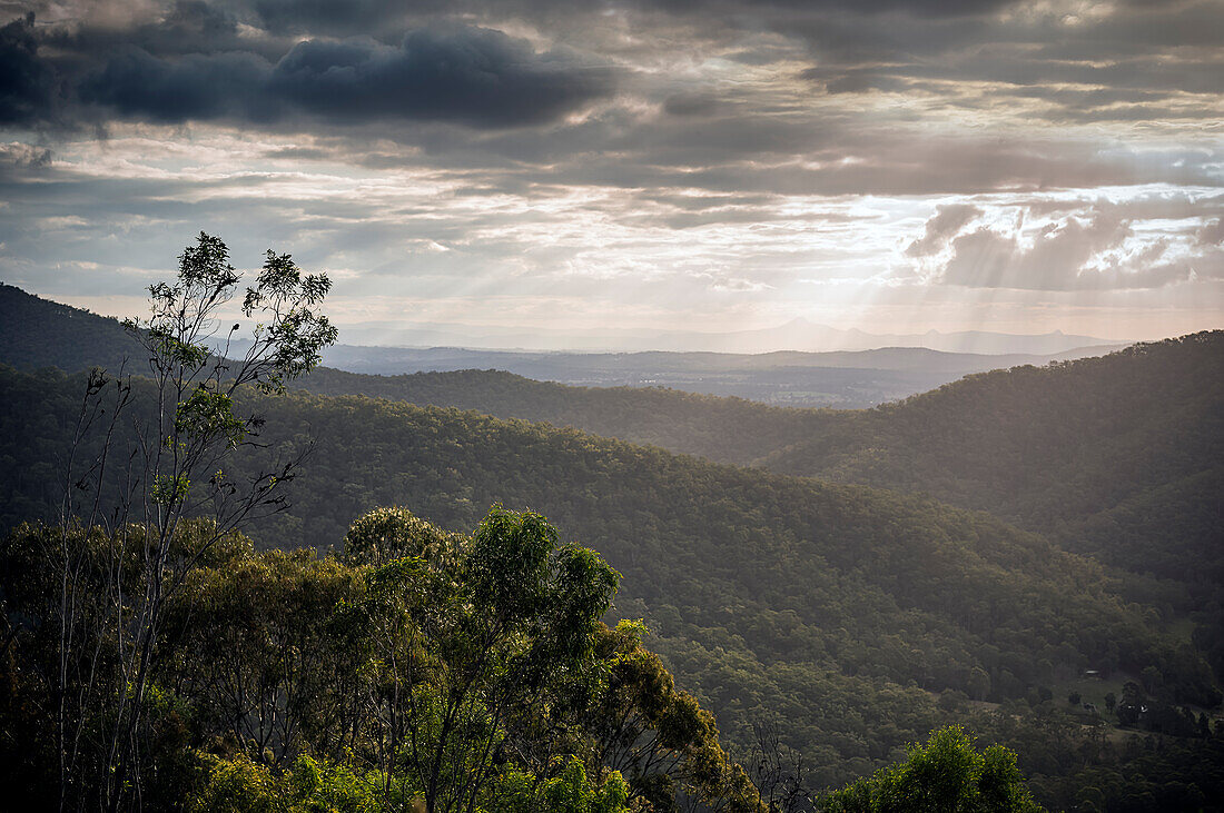Sonnenstrahlen von stürmischen Himmeln, die auf die Hügel des einheimischen australischen Buschlandes herabscheinen - Mount Tamborine