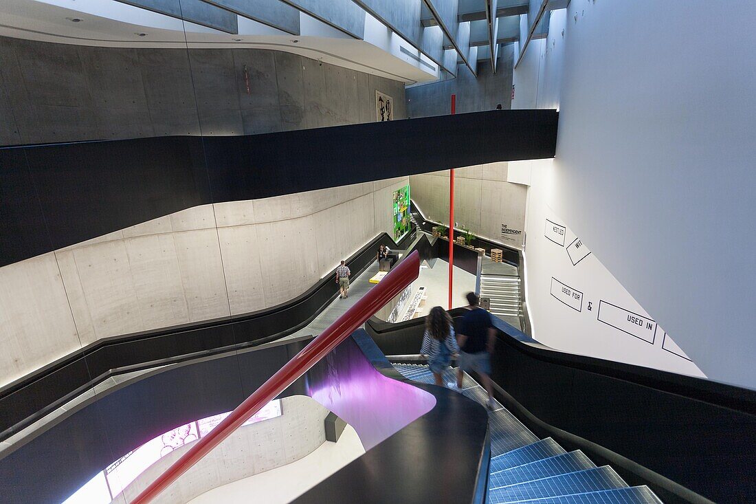 Rom, MAXXI - Museo Nazionale delle Arti del XXI Secolo, Latium, Italien