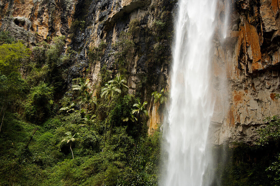 Waterfall rushing down rocky cliff face into tropical rainforest below