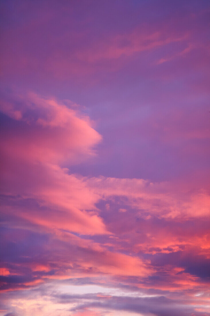 Pink clouds in purple sky at sunset