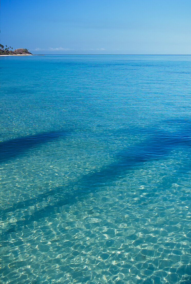 Shadows of Palm Tree on tropical water on coastline of Island