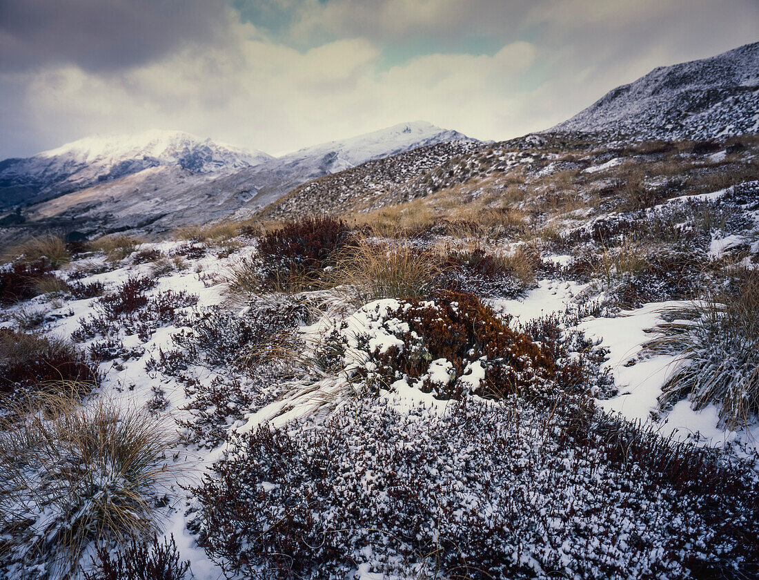 Schneebedecktes Grasbüschelland und Hügel auf der Südinsel - Neuseeland