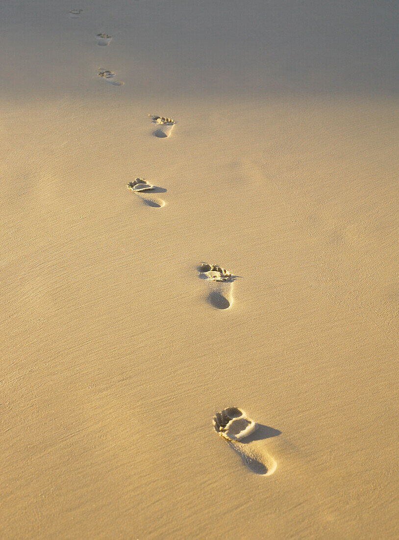 Eine Reihe von Fußspuren im Sand