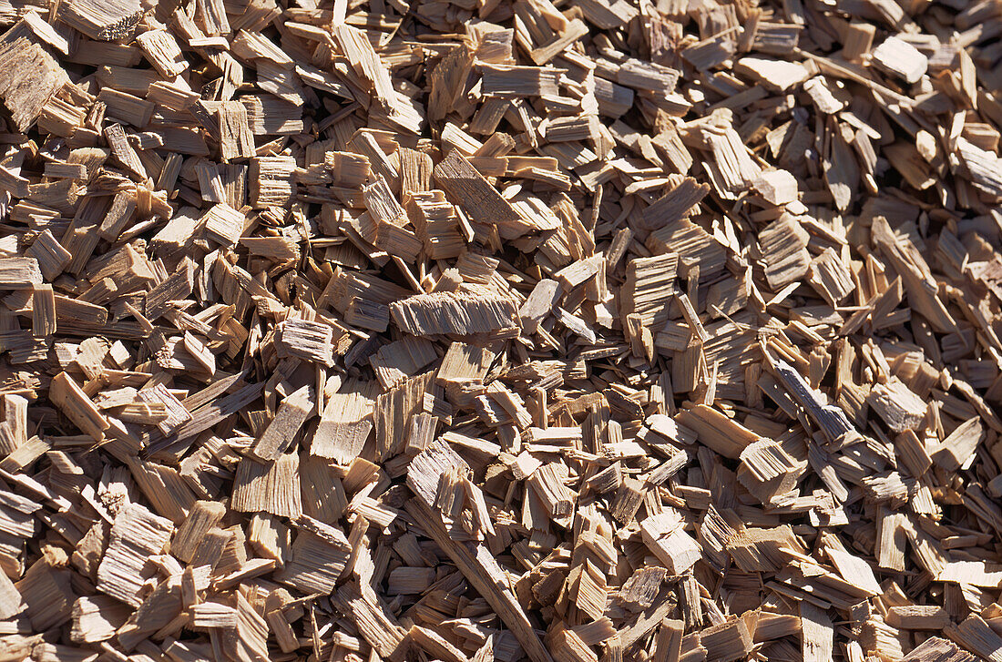 Close up of chunky woodchips ready for export