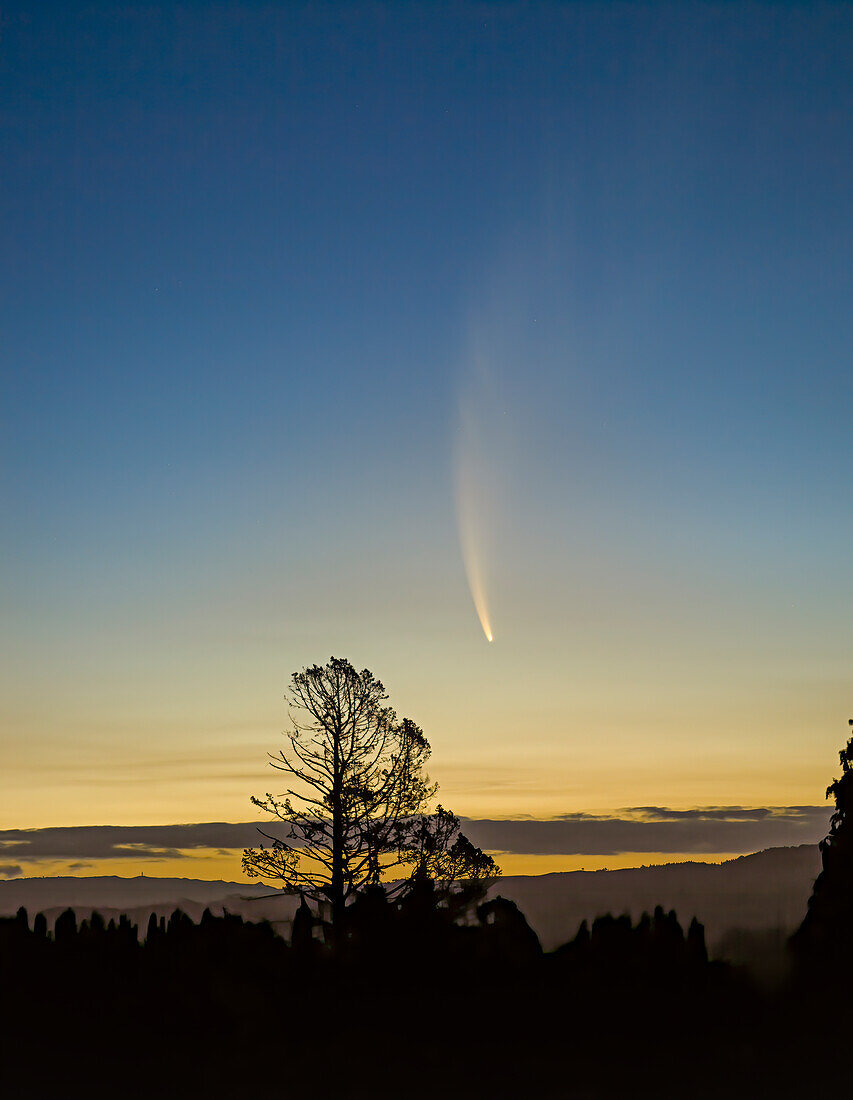 Comet McNaught in the sky at sunset traveling over trees and hills