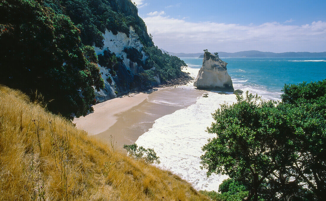 Luftaufnahme von Cathedral Cove und Te Hoho Rock